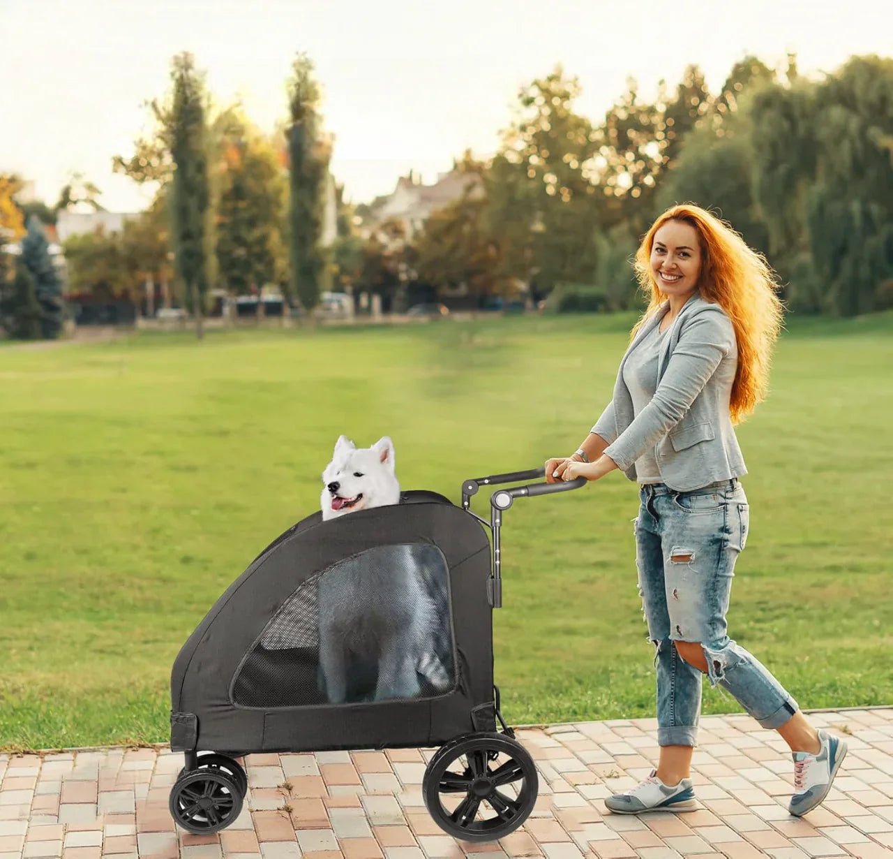 Poussette pour Chien - StrollyPet™ - Noir - La Maison Ideale Des Chiens