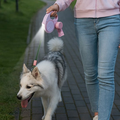 Laisse pour Chien | Robuste & Confort