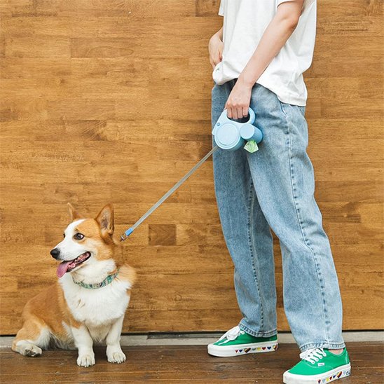 Laisse pour Chien | Robuste & Confort