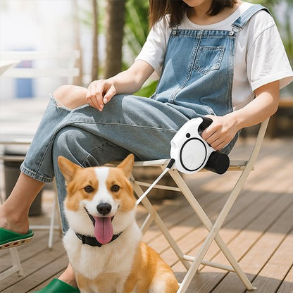 Laisse pour Chien | Robuste & Confort