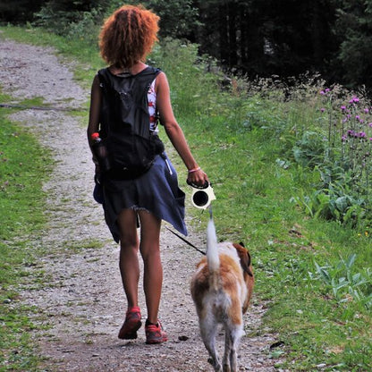 Laisse pour chien | Robuste & Ajustable