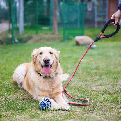Laisse pour chien | RobuControl