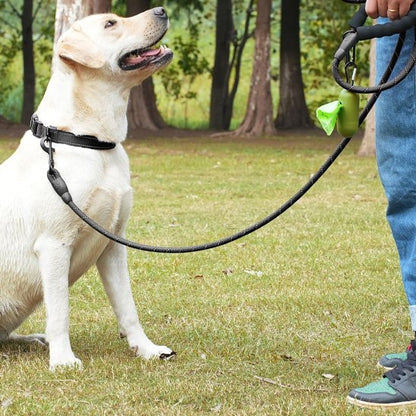 Laisse pour chien | RobuControl