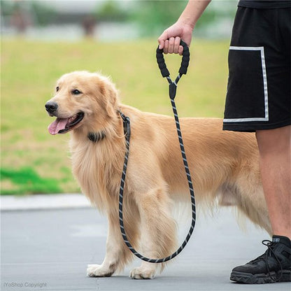 Laisse pour chien | RobuControl