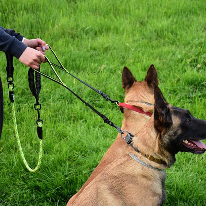 Double laisse pour chien | Promenade Confort