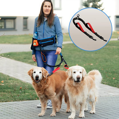 Double laisse pour chien | Promenade Confort