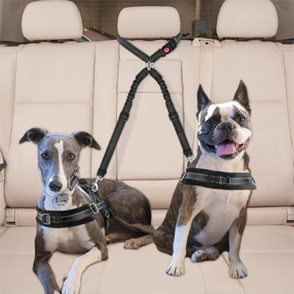 Double laisse pour chien | PromenDuo