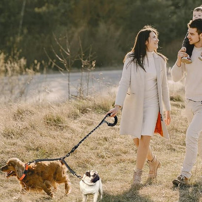 Laisse double pour chien | AntiCroisement
