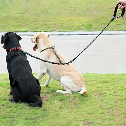 Laisse double pour chien | AntiCroisement