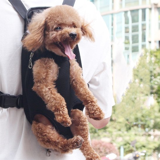 Sac de transport chien