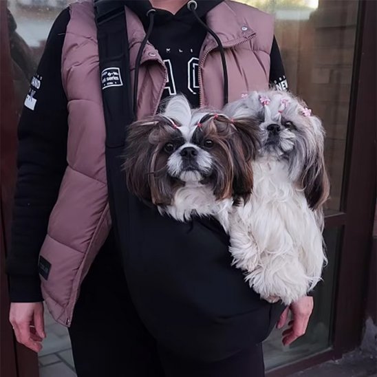 Sac de transport pour chien | Voyage Secure - La Maison Ideale Des Chiens