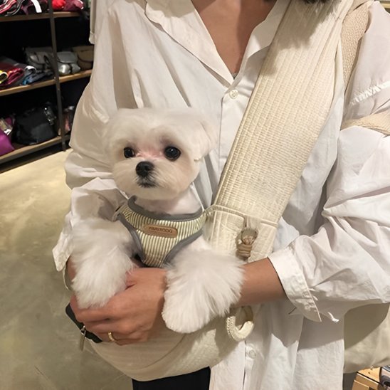 Sac de transport pour chien | Voyage Sécurisé - La Maison Ideale Des Chiens