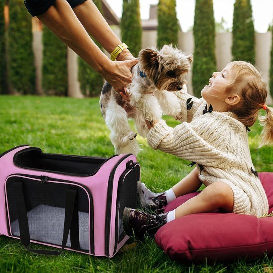 Sac de transport pour chien | Voyageur Sécurisé - La Maison Ideale Des Chiens