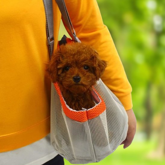 Sac de transport pour chien | Voyageur Sécurisé - La Maison Ideale Des Chiens